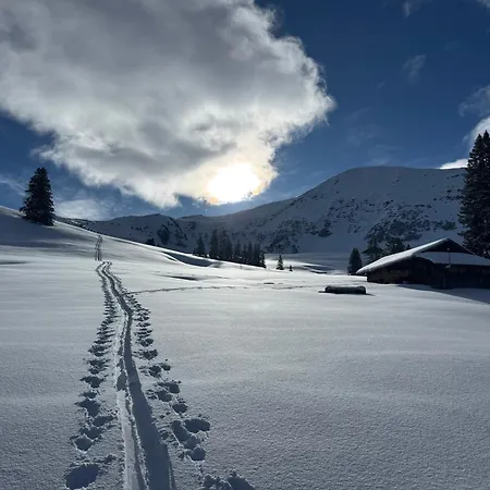 Schneeloewe * Arni Alp